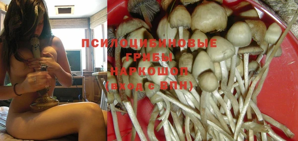 гидропоника Балабаново