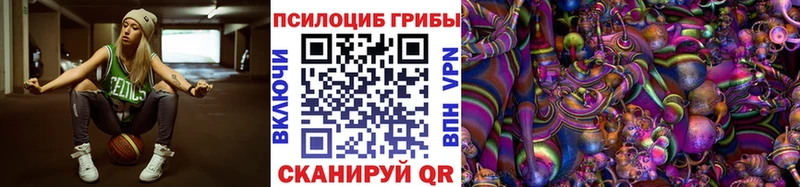 блэк спрут онион  Североморск  Псилоцибиновые грибы MAGIC MUSHROOMS 