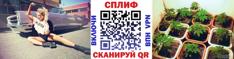 Бошки Шишки VHQ  Североморск 